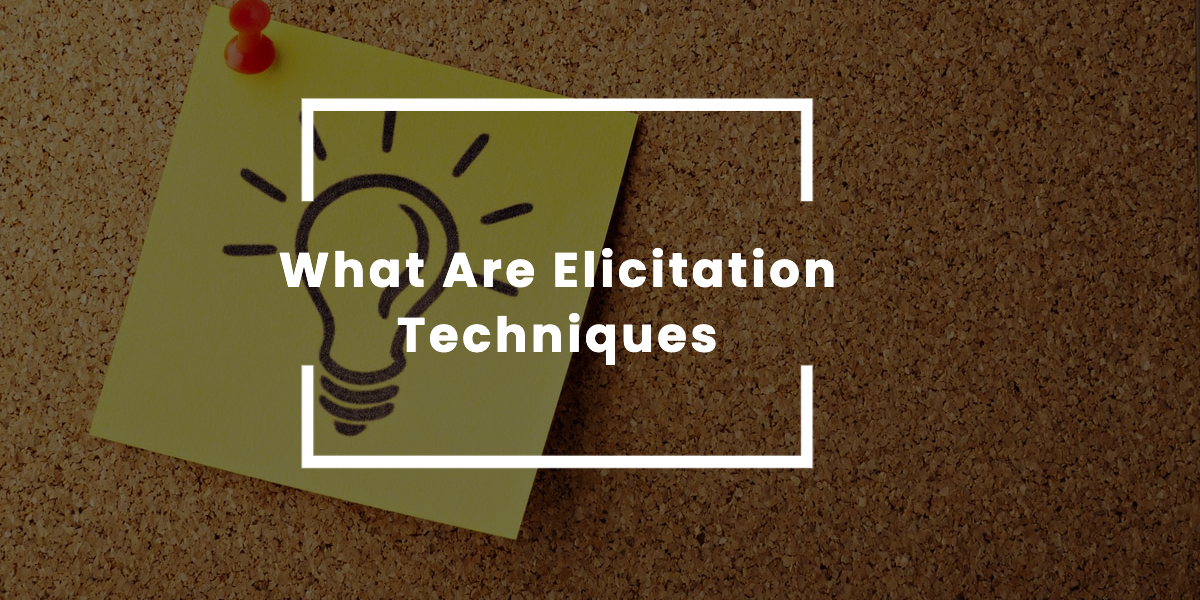 What Are Elicitation Techniques
