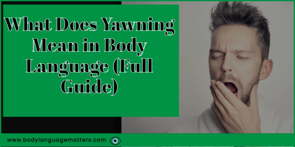 What Does Yawning Mean in Body Language (Full Guide)